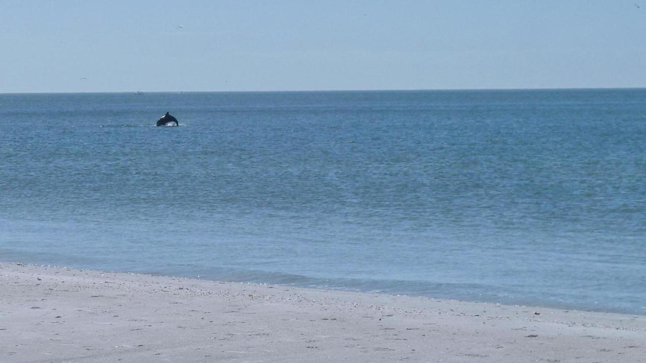 Sunset Beach House 3Br Villa St. Pete Beach Eksteriør billede